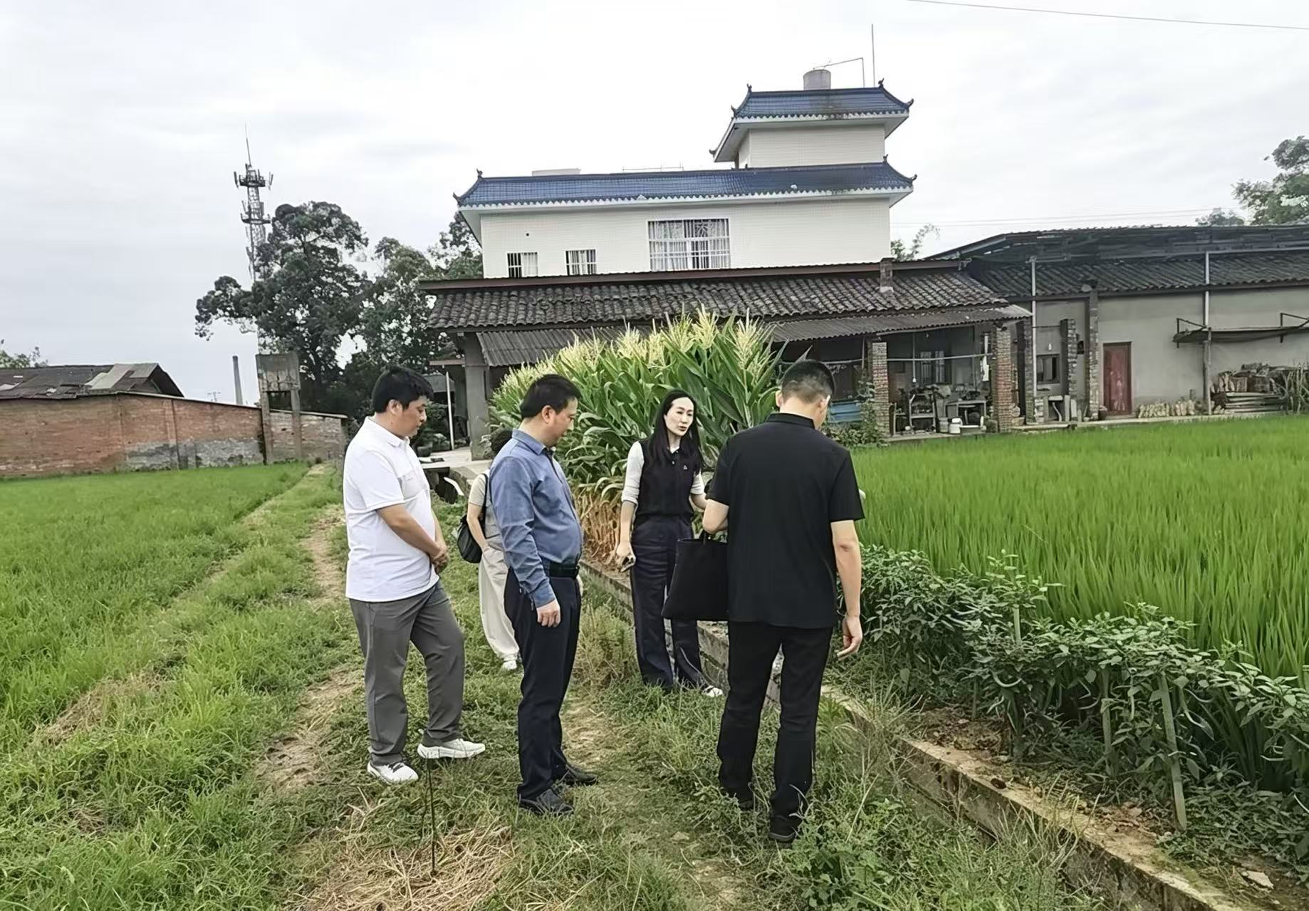 （图为实地核查工程建设问题整改情况）