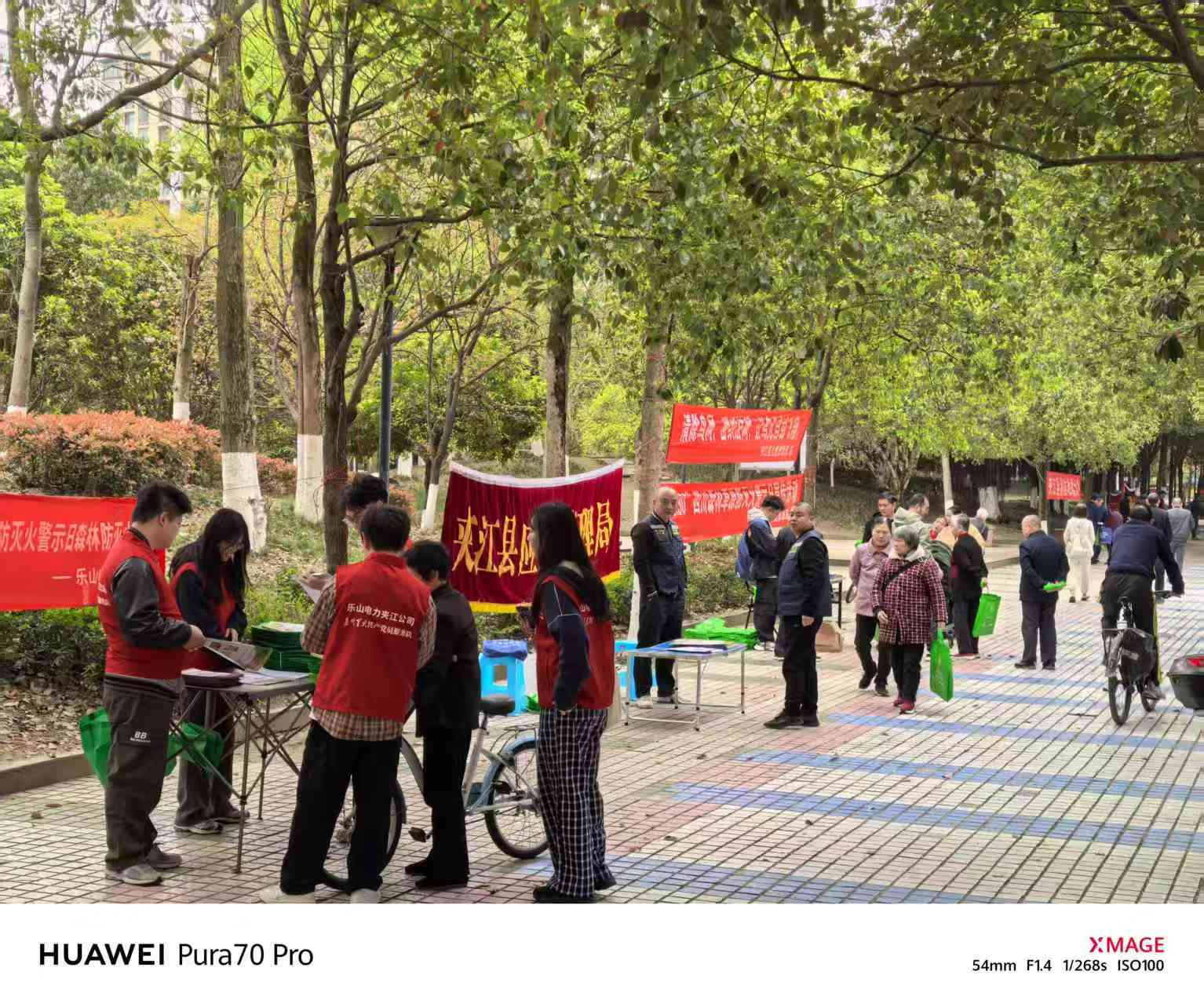 图片2