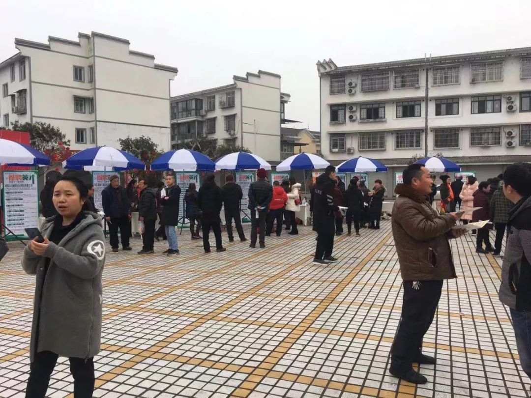 大篷车招聘2