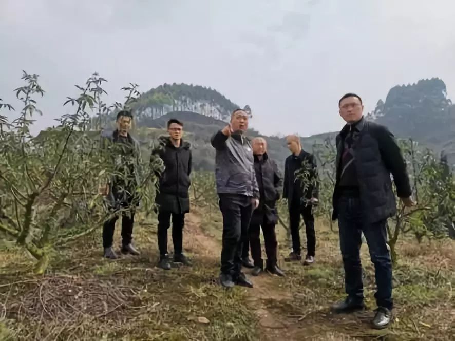 新书记1